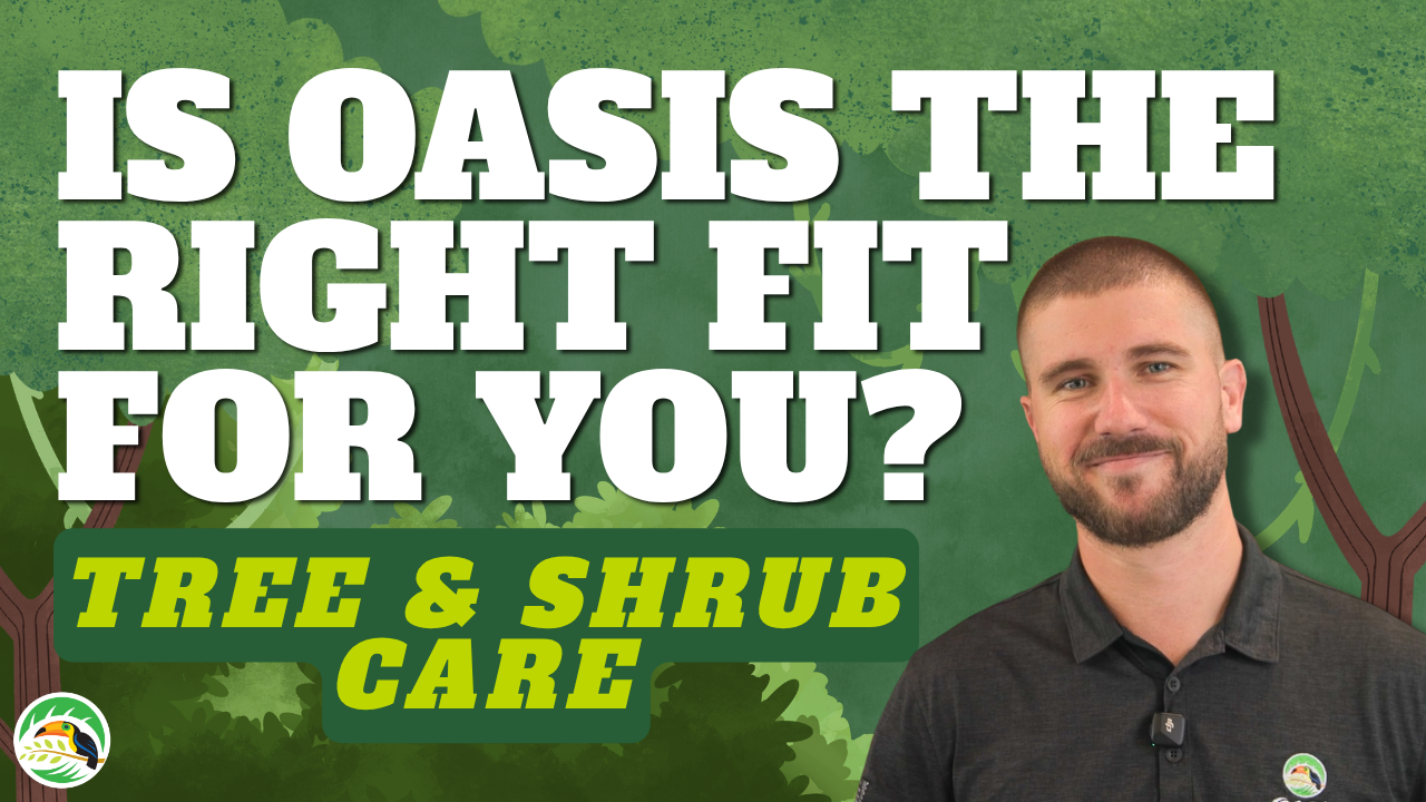 Is Oasis the Right Fit for your Tree & Shrub Care Needs | 5 Reasons We Aren't (Thumbnail)