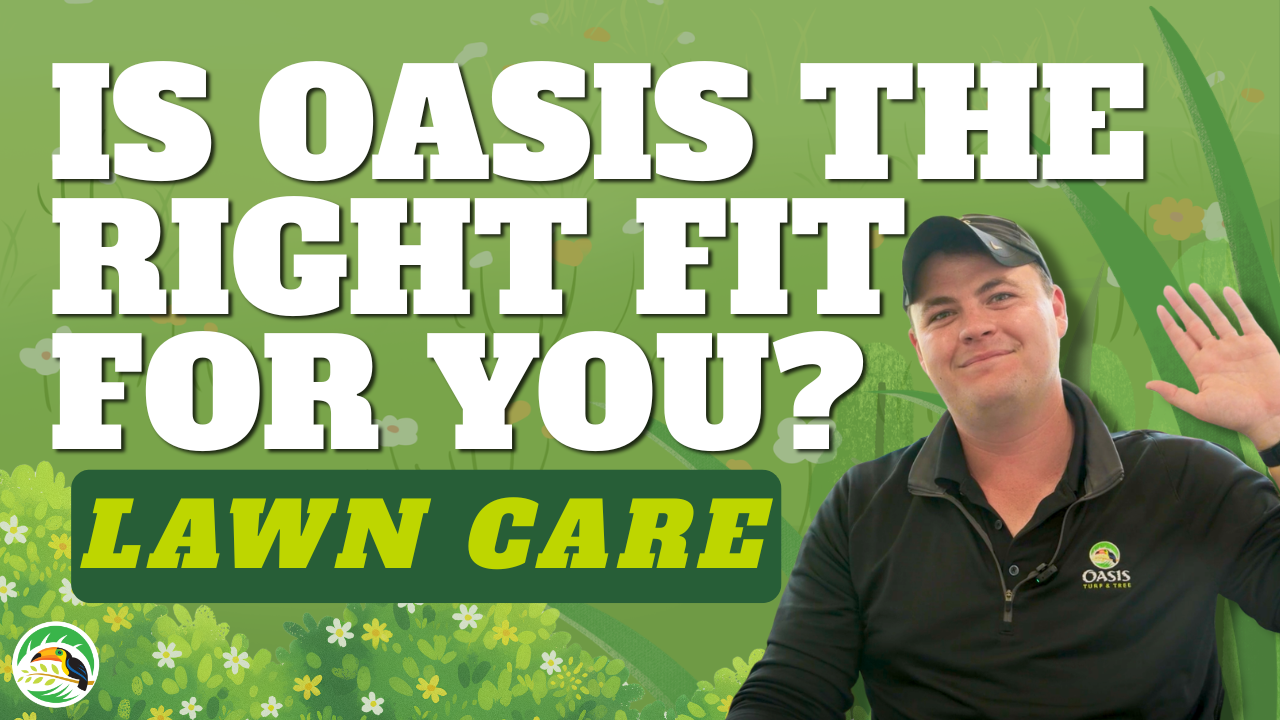  Is Oasis Turf & Tree's Lawn Care Right for You? | 5 Honest Reasons We May Not Be the Best Fit