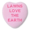 How a lawn care service can help you fall in love with your lawn all over again each day.