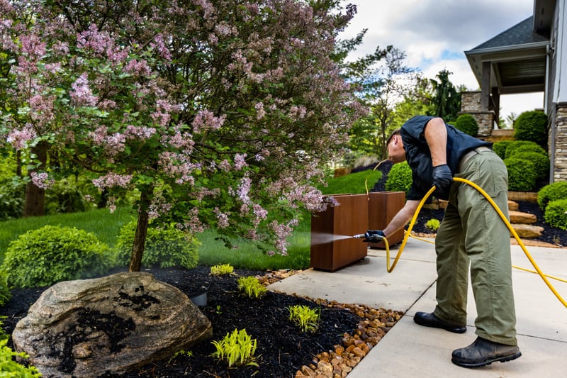 technician spraying mosquito control product in targeted areas