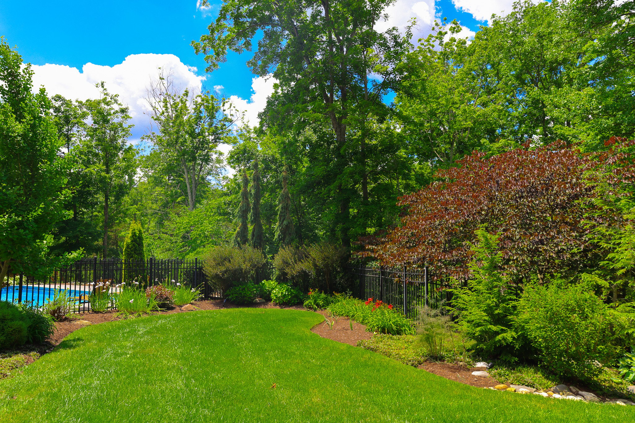 NALP_Gayle_Lawn_Pictures (19)