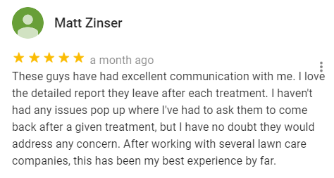 Oasis Turf & Tree Google review