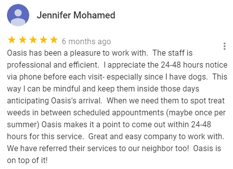 Google review about Oasis Turf & Tree