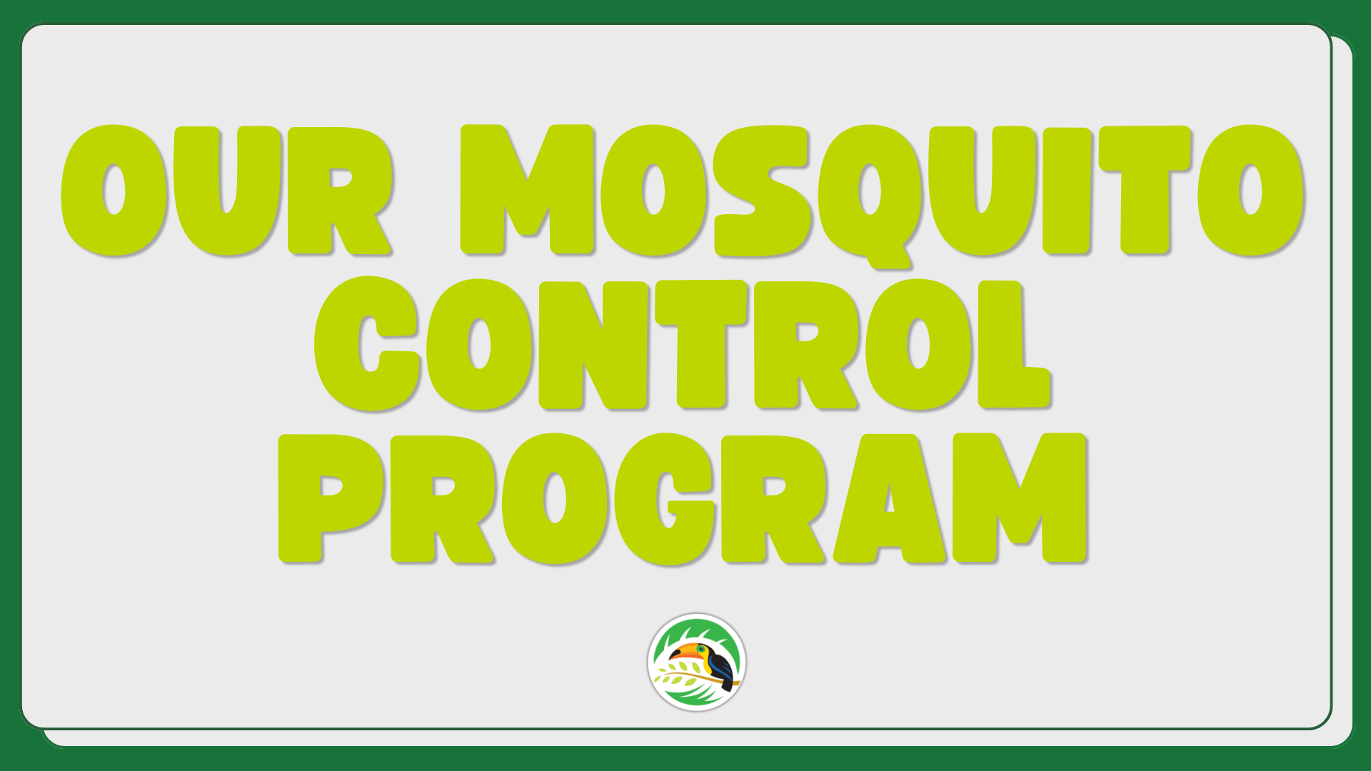  What is our Mosquito Control Program at Oasis Turf & Tree? (Thumbnail)