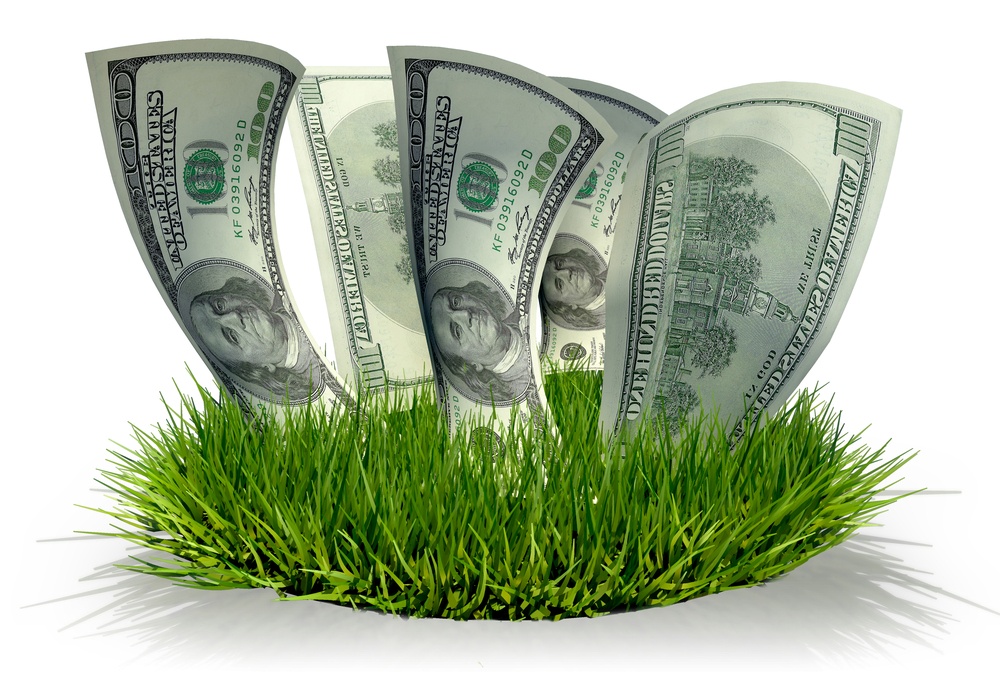 Differences of lawn care services in Ohio and Northern Kentucky and their programs.