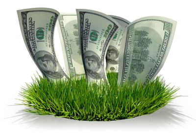 lawn grass with hundred dollar bills growing