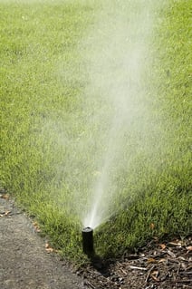 Automatic sprinkler misting corner of green lawn.jpeg