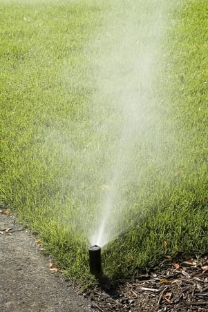 Irrigation watering grass at best time in Ohio