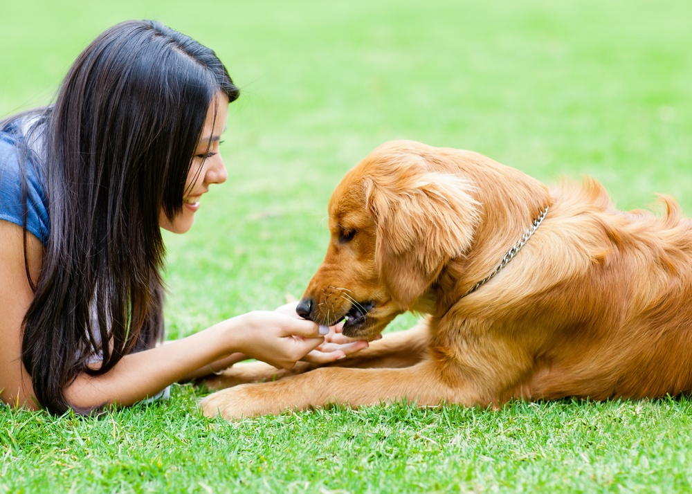 woman and dog in grass