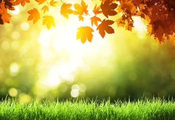 Essential fall lawn care tasks for Cinicnnati, Dayton OH and N. Kentucky