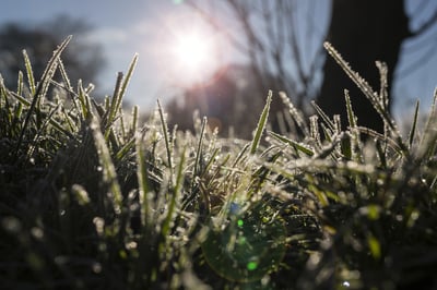 Winter lawn fertilizer on lawn in Ohio