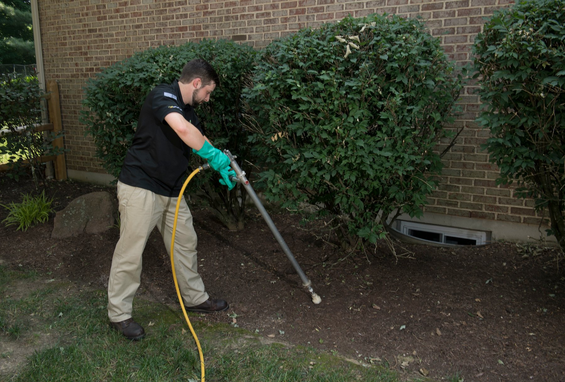 plant health care expert performs deep tree root fertilization