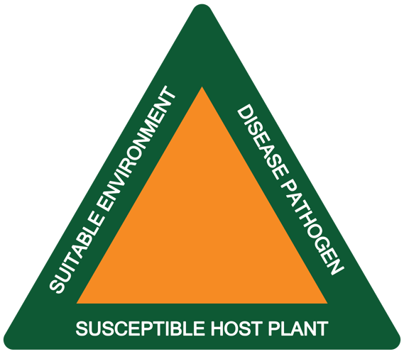 diagram displaying the Disease Triangle