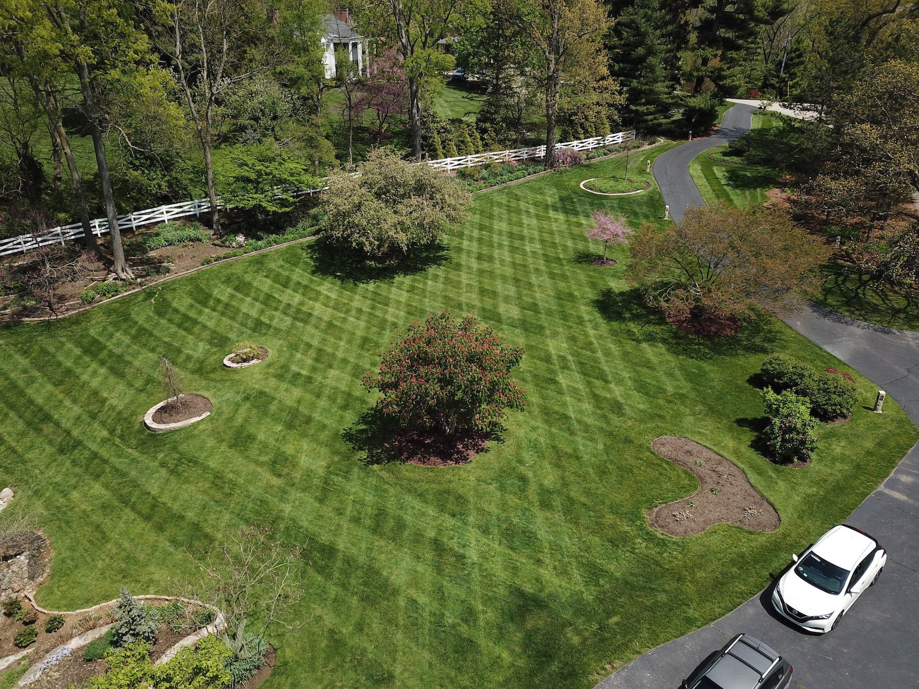 healthy grass with mow lines