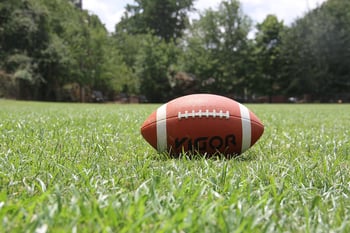 football on grass.jpg