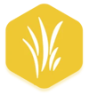 glc