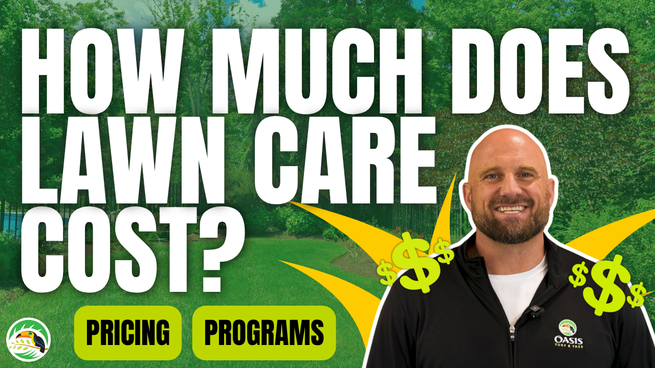 How Much Does Professional Lawn Care Cost? | Oasis Turf & Tree (Thumbnail)