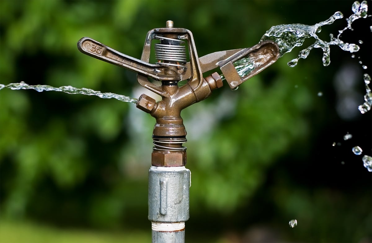 sprinkler head to water shrubs