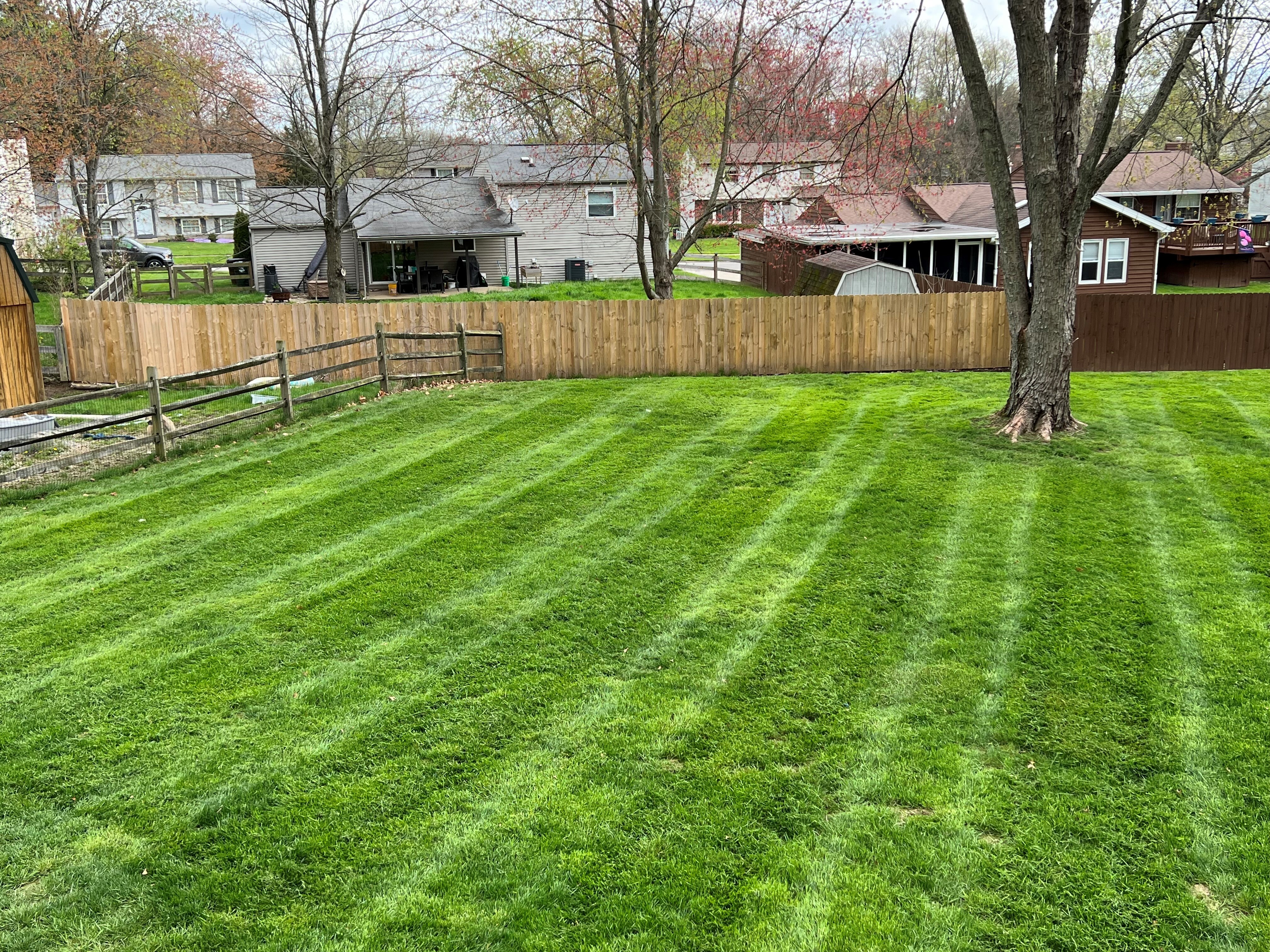 nate backyard 2 after