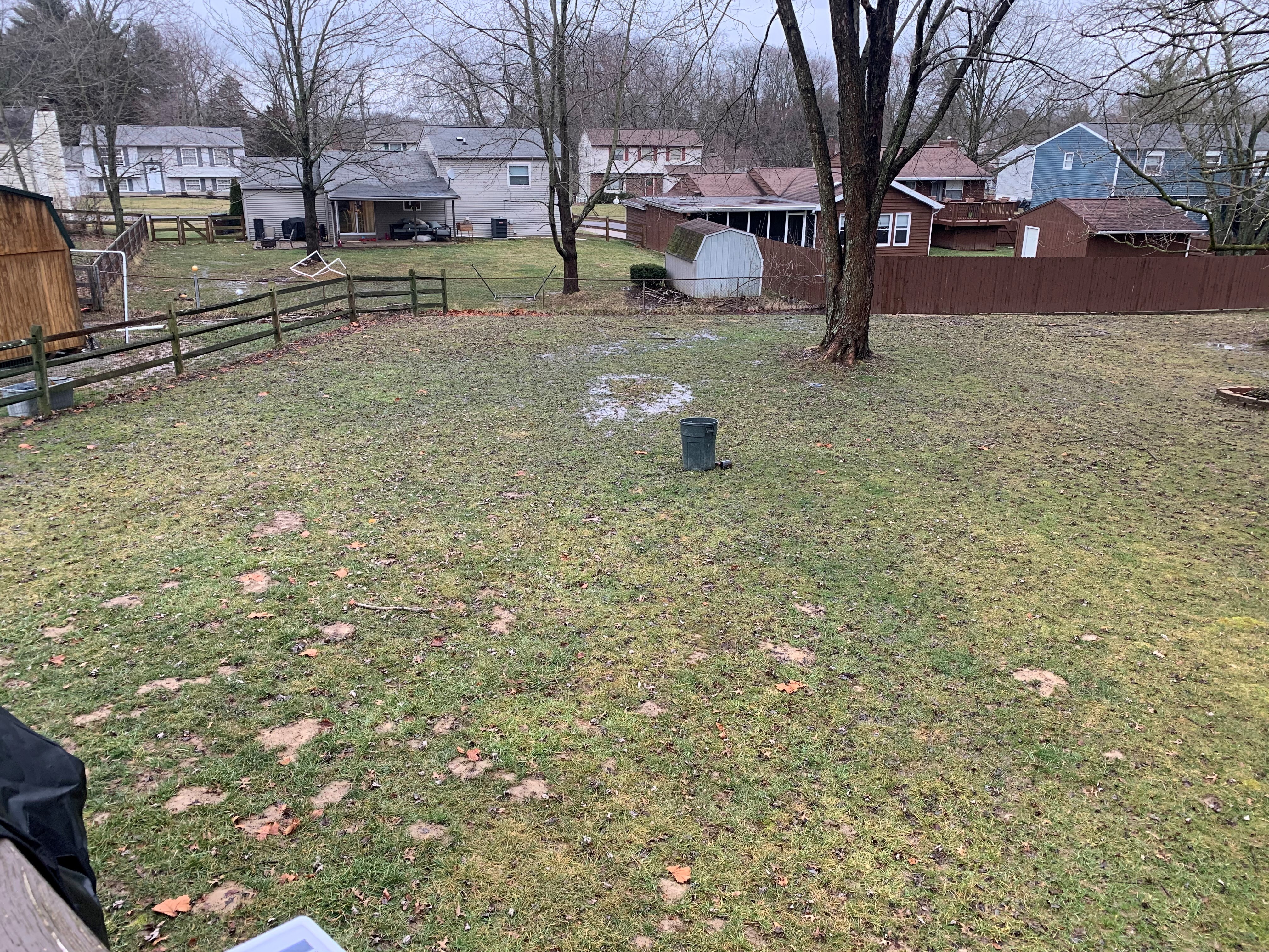 nate backyard 2 before