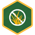 no nutsedge