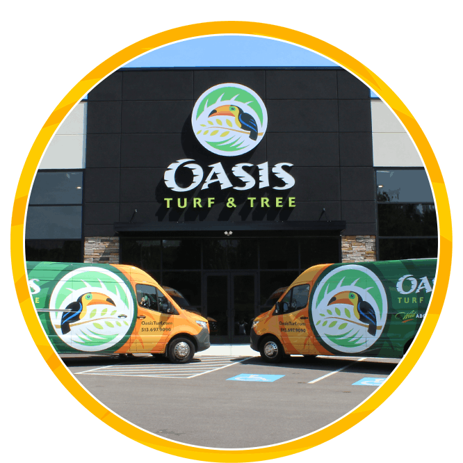 Oasis Turf & Tree storefront with two orange-and-green branded vans parked outside, featuring bird-and-leaf logos in bright sunlight.
