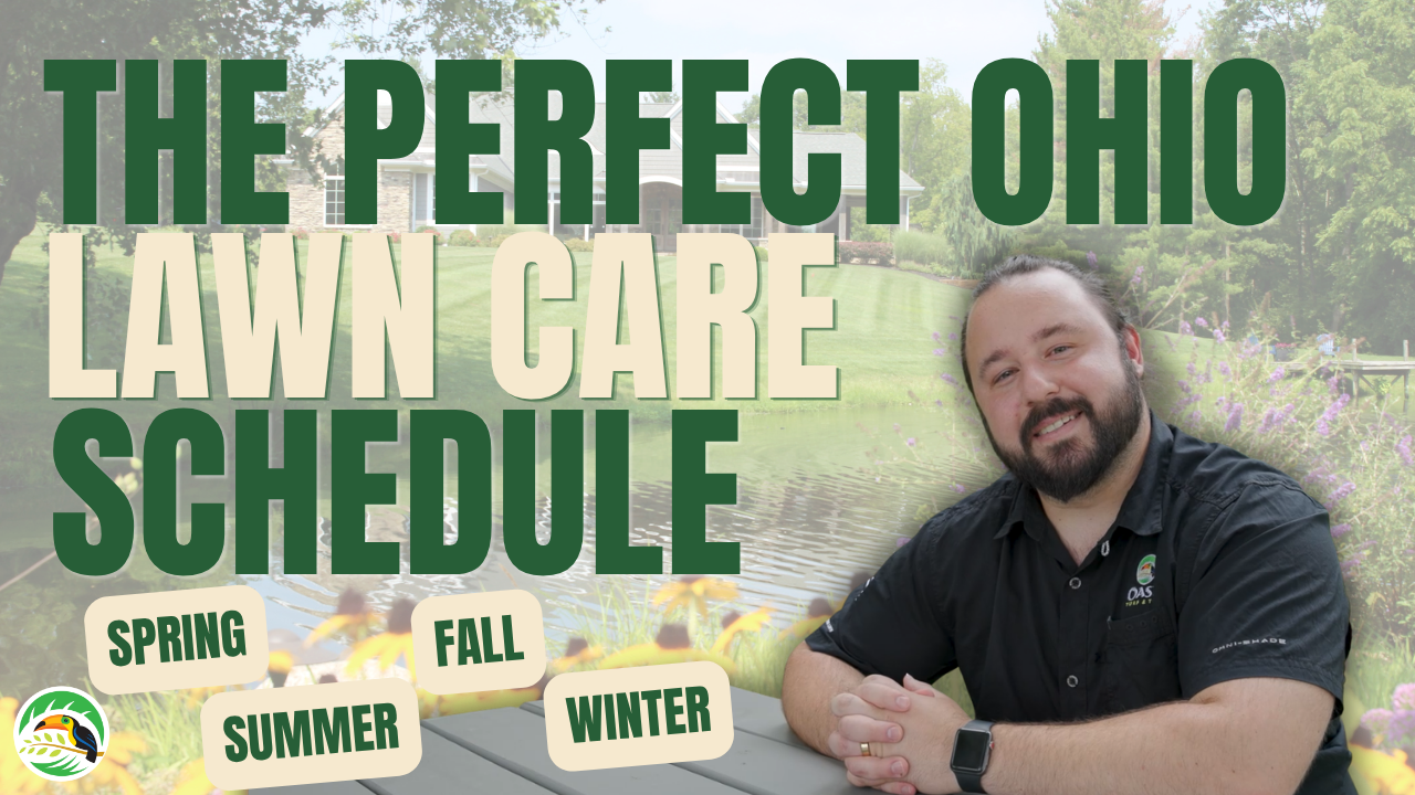 The Perfect Ohio Lawn Care Schedule | Month by Month Thumbnail