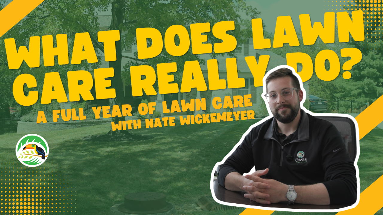 Thinking About Lawn Care? Watch This First (A Full Year Breakdown) | Oasis Turf & Tree Thumbnail