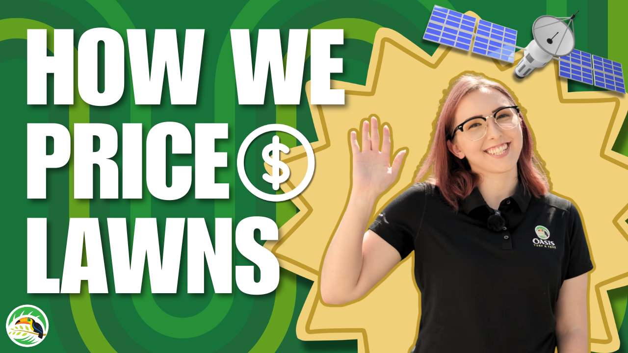 How We Use Satellite Imagery to Determine Lawn Care Pricing Thumbnail